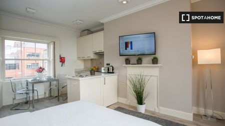 Studio flat to rent in Downtown Dublin - Photo 3