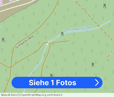 Sifi: 3,5 ZW mit Aufzug in sonniger und ruhiger Lage - Foto 1