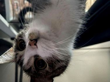 Pokój, ul. Jackowskiego - Photo 5