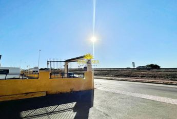 STUDIO - LA MATA, TORREVIEJA