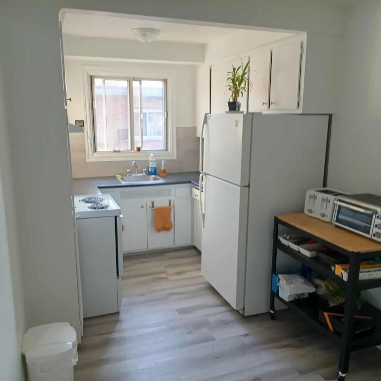 3 1/2, lumineux, remis à neuf en 2023, semi-meublé, chauffé dans Cartierville - Photo 1