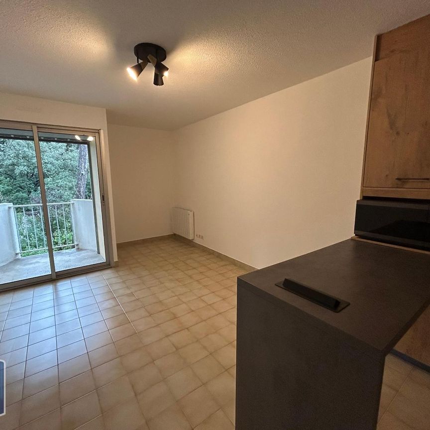 Location Appartement 1 pièce MONTPELLIER 34090 - Photo 1