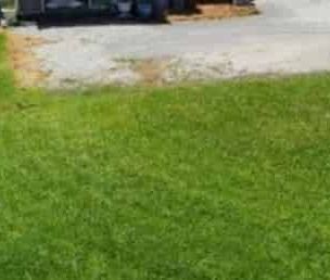 Charming 2BR Beach Haven w/ AC - Photo 5