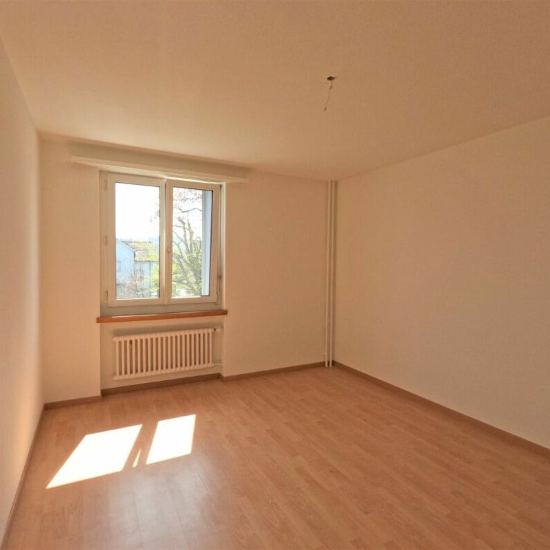 Deine neue Familiewohnung - mit Balkon, grosse Fenster, sonnig, Grillplatz, grosse Spielwiese! - Photo 1