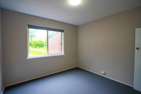 2/109A Albert Street, Wickham NSW 2293 - Apartment For Rent | Domain - Photo 5