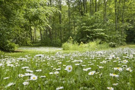 Store Tingbakke 3, 9310, Vodskov - Foto 2