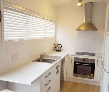 Sunny Ponsonby Apartment - Photo 3