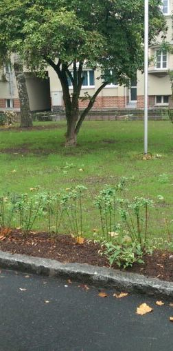 Perfekt aufgeteilte 2-Raum-Wohnung im Erdgeschoß - Foto 1