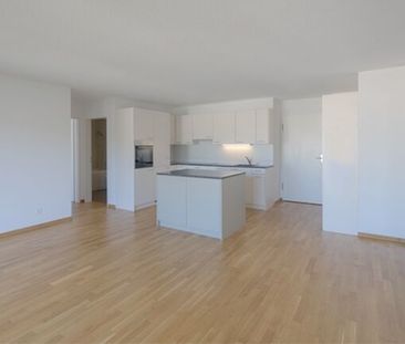 Search. Find. LIVE - Foto 5