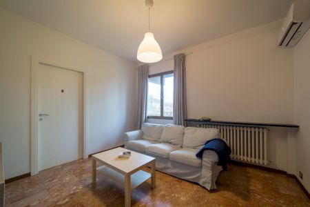 Spacious room in Piazza Augusto Conti - Photo 5