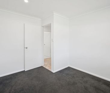 GREAT ON GREVILLEA - Photo 5