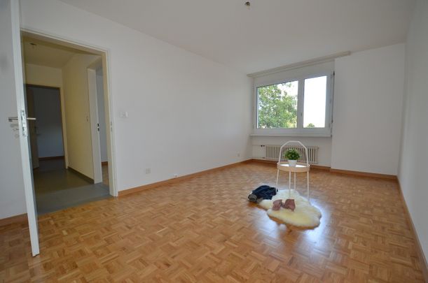 Attraktive 4.5-Zimmer-Wohnung im Erdgeschoss in Forch - Photo 1