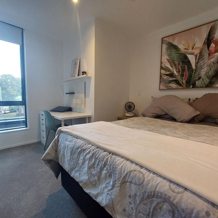 1 Bedroom mordern apartment - Handbag dog or Cat is welcome! - Photo 1