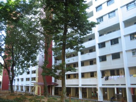 Blk 417 Teck Ghee Heartlands (Ang Mo Kio), HDB 3 Rooms - For Rent - Photo 3