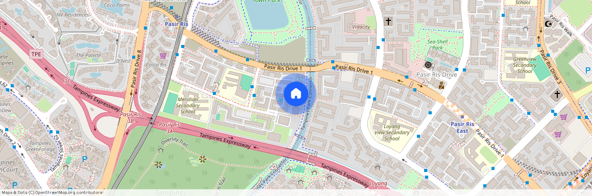 549 Pasir Ris Street 51 (510549), Singapore