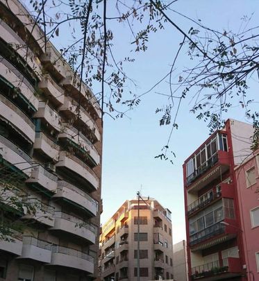 Calle Martínez de Velasco, Alicante, Valencian Community 3013 - Photo 1