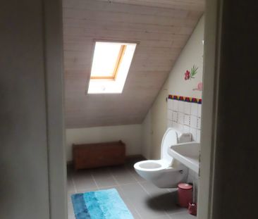 Duplex-/Maisonette-Wohnung in Rickenbach ZH - Photo 4