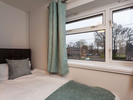 The Birches Room 1 - Photo 4
