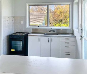 Charming 2BR Hillcrest Haven, Pets OK! - Photo 4