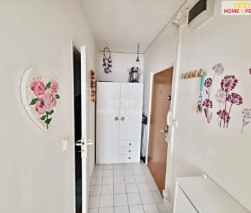 Pronájem bytu 1+kk Brno, ul. Hochmanova 31 m - Photo 4