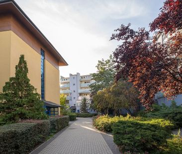 3 pokoje z dużym balkonem, cicho OD ZARAZ – zdjęcie 2