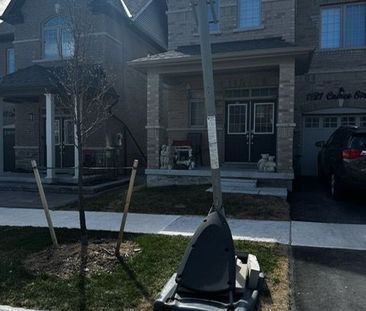 For Lease - 1121 Cameo Street Unit# Bsmt, Pickering, Ontario - Photo 1