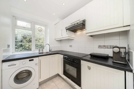 Shoot Up Hill - Photo 5