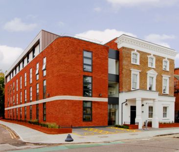 Silver Studio - Photo 5