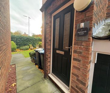 1 Bedroom Apartment - Photo 4