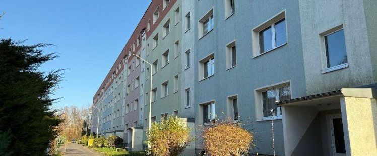 Blick ins Grüne inklusive - Photo 1