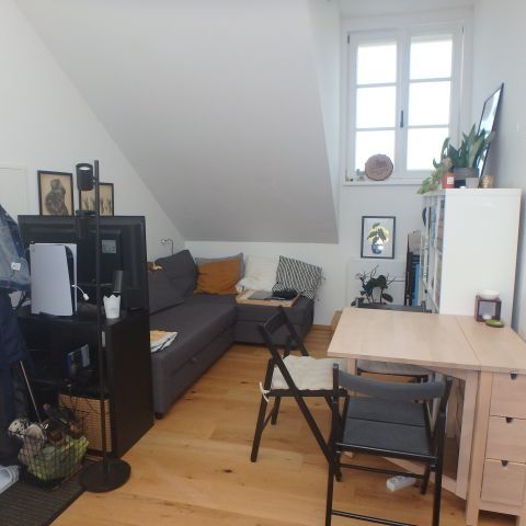 NEUWERTIGE DACHGESCHOSSWOHNUNG NÄHE DPU ZU VERMIETEN - Photo 1