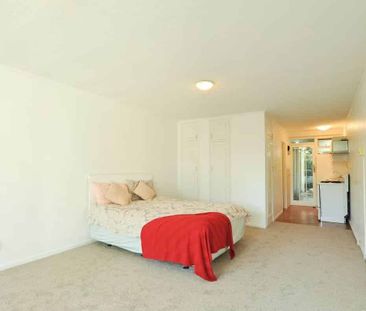 Sunny One Bedroom Studio In Mt Eden - Photo 3