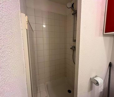 Location Appartement 1 pièce 16m² - Photo 4