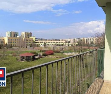 Mieszkanie na wynajem w bloku Legnica, Piekary C - Zdjęcie 3