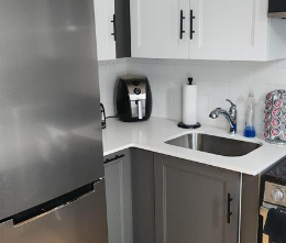 103 Waverley Street apartment — Ottawa, ON (1-Bedroom) - 1 Bedroom - Photo 1