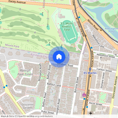 21 Salisbury Road Kensington, NSW 2033