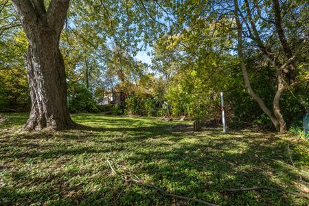 For Lease - 345 Park Road Unit# Basement, Oshawa, Ontario - Photo 3