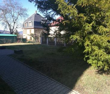 LB-pronájem bytu 2+1 po rekonstrukci se zahradou v Pavlovicích - Photo 4