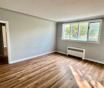 11235 117 Street - Photo 2