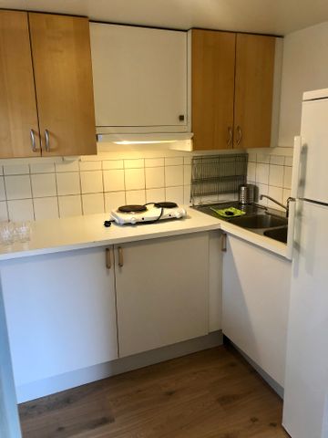 Ljungängsbacken, Göteborg - Foto 4