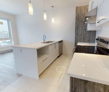 36 Rue Marjorie-D.-Shackleton (Plateau) Tout Inclus 4 1/2 - Photo 2