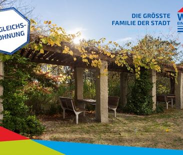 Große 1-Raumwohnung, altersgerecht, mit Gemeinschaftsgarten - Foto 6