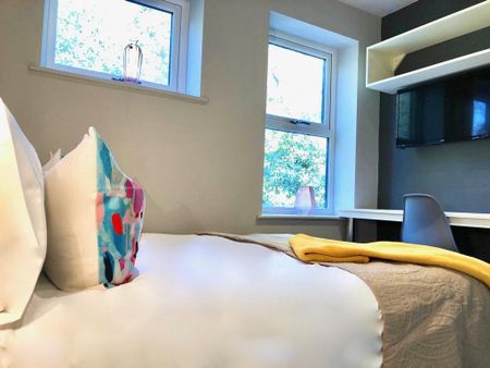 1 bedroom in a house share to rent - Photo 3