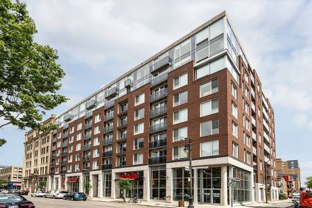 1255 rue De Bullion, Montréal, QC - Photo 4