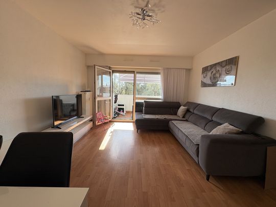 Location Appartement 4 pièces 77m² ST LOUIS 68300 - Photo 1