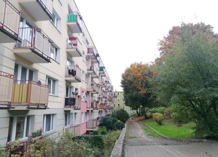 Ładne 3 pokoje do wynajęcia, 53m2, parter, balkon - Zdjęcie 5