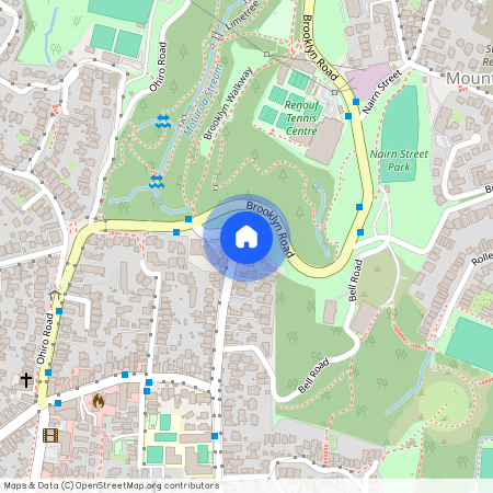 D2/1 Washington Avenue, Brooklyn, Wellington City