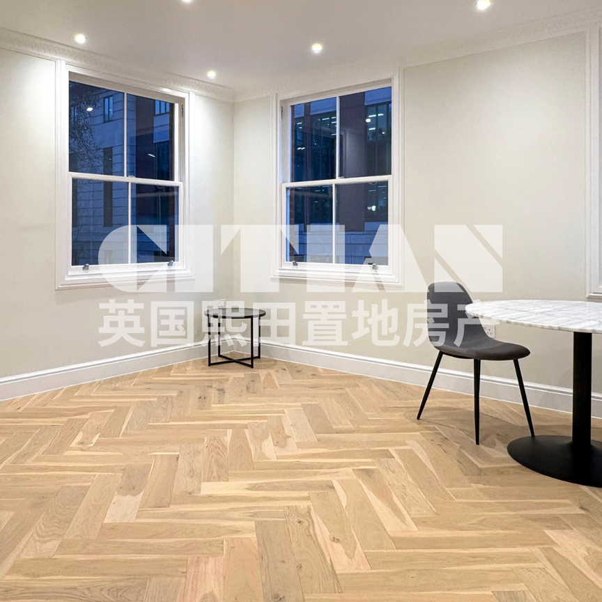 Horseferry Road, Westminster, London, SW1P - Photo 1