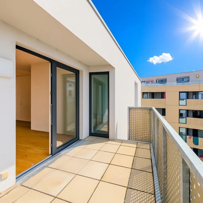 Q11 - Ruhig & zentral: Wohnen zwischen Altstadt & Flusslandschaft - Foto 1