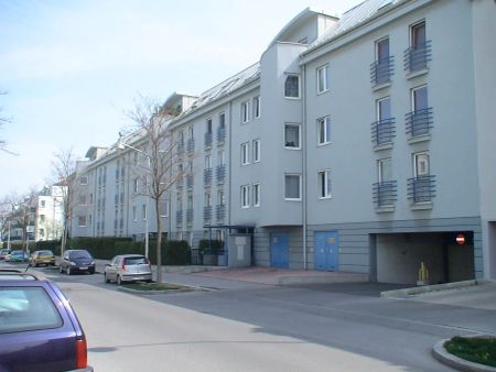 1-Zimmer-Wohnung, Top 6 - Photo 5